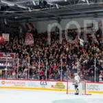 Ekonomisk succé – trots degraderingen: ”Finns otrolig potential”