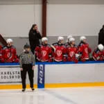 Uppgifter: Topplaget drar sig ur Hockeyettan