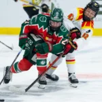 SDHL:s nya satsning – inleder säsongen med ”Hockeyvecka”