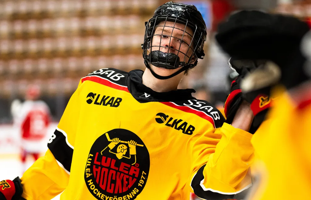 Tim Tuzin. Luleå. 